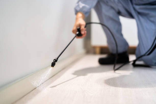 Licensed Mosquito Control service in Schoolcraft, MI - Show Me Pest Control