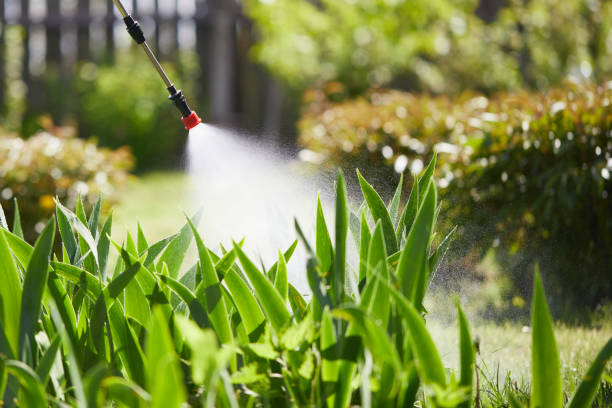 24/7 Emergency Mosquito Control experts in Schoolcraft, MI
