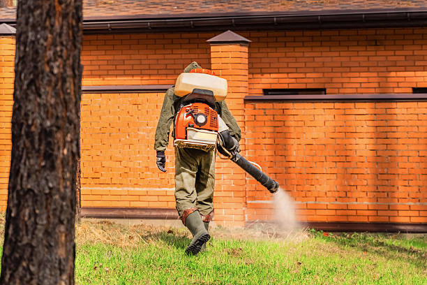 Top rated local Mosquito Control specialists in Schoolcraft, MI